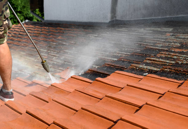 Best Roof Power Washing Services  in Macon, MS